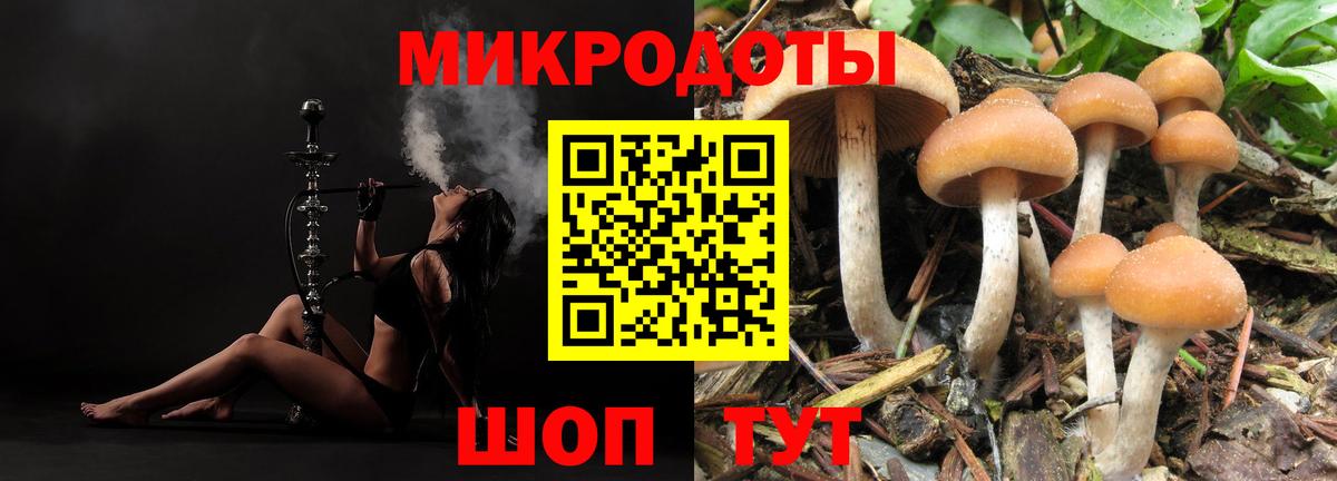 Галлюциногенные грибы мицелий  наркота  Людиново  Вход с VPN  Галлюциногенные грибы Psilocybe 