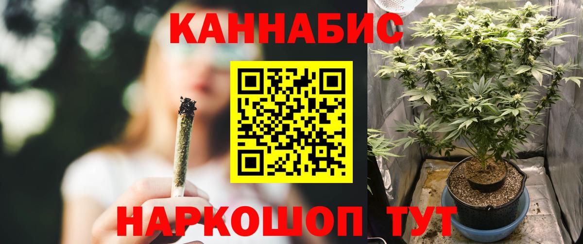 Марихуана план  МАРИХУАНА планчик  Людиново  Бошки Шишки индика  Вход с VPN 